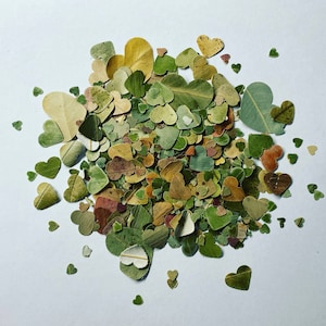 BULK BUY - Hearts - 50 grams of 100% natural & biodegradable handmade heart confetti - mixed sizes: small, large and jumbo