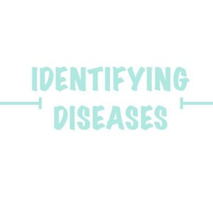 DIGITAL - Nursing School (RN) Notes - Diseases flashcards (Reference Cards)