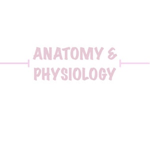 May include: A white background with the text "ANATOMY & PHYSIOLOGY" in pink lettering. The text is centered on the page and is in a bold, sans-serif font. The text is surrounded by a thin, pink line.