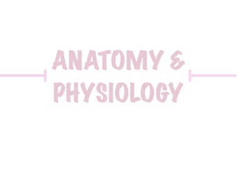 DIGITAL Anatomy & Physiology Flashcards (Nursing, RN, EN, Students)