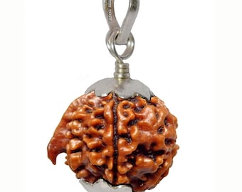 Srebrny wisiorek Divya Shakti Ganesh Rudraksha, 100% oryginalny i naturalny