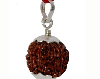 Divya Shakti Seven Face / 7 Mukhi Rudraksha Silver Pendant 100% Original & Natural