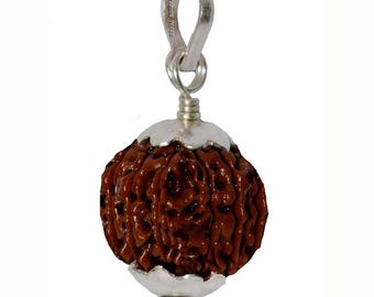 Divya Shakti Ten Face / 10 Mukhi Rudraksha Silver Pendant 100% Original & Natural