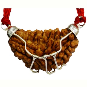Divya Shakti One Face 1 Mukhi Rudraksha Silver Pendant 100% Original & Natural