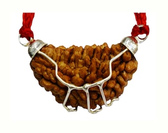 Divya Shakti One Face 1 Mukhi Rudraksha Silver Pendant 100% Original & Natural