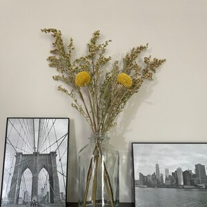 Getrockneter Bouquet - Knäuelkugeln, gelb solidago