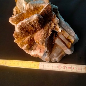 Può includere: Un gruppo di cristalli di selenite marroni e bianchi con una texture stratificata e striata. I cristalli sono disposti in un motivo radiale, creando una visualizzazione unica e accattivante.