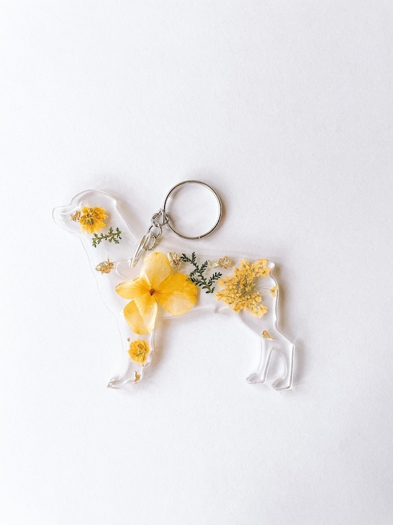 Cartoon Valentine Cute Rottweiler Dog Holding A Big Red Heart 55398880