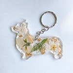 Corgi Accessories