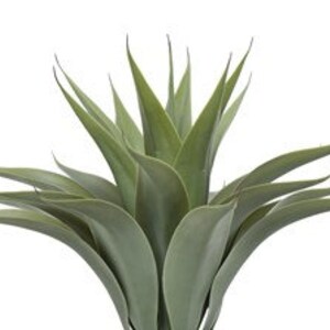 Faux Agave Plant in Pot 22 H image 5