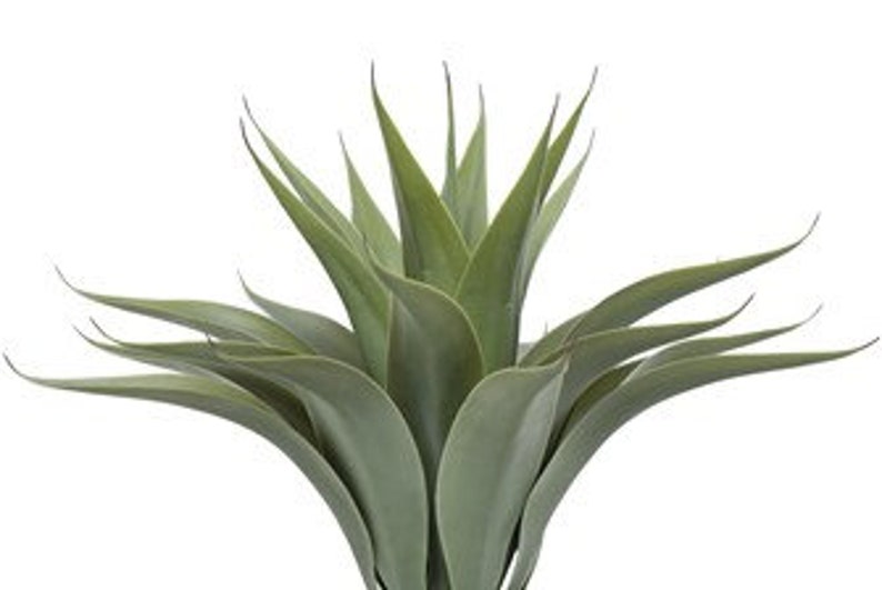 Faux Agave Plant in Pot 22 H image 5