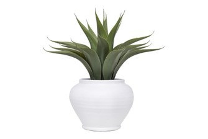 Faux Agave Plant in Pot 22 H image 6