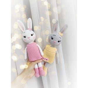 Handgefertigte Häkeln Häschen Puppen Plüsch, 2er-Set personalisierte gefüllte Häschen, Geschenk für Zwillinge oder Schwestern, Amigurumi Häschen Spielzeug, BF Geschenk