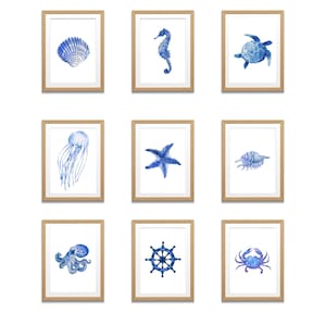 Puede incluir: Conjunto de nueve impresiones de acuarela con ilustraciones azules y blancas de varias criaturas marinas y objetos náuticos, incluyendo una concha, un caballito de mar, una tortuga, una medusa, una estrella de mar, un cangrejo, un pulpo, un timón de barco y un cangrejo.