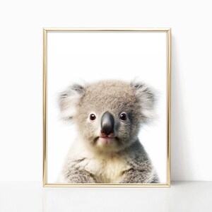 Baby Koala Nursery Decor Woodland Nursery Art Framed Print for Baby Room Forest Animals Theme Baby Animals Wall Art Poster Canvas Prints