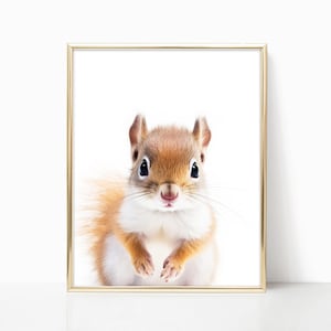 Baby Squirrel Nursery Decor Woodland Nursery Art Framed Print for Baby Room Forest Animals Theme Baby Animals Wall Art Poster Canvas Prints