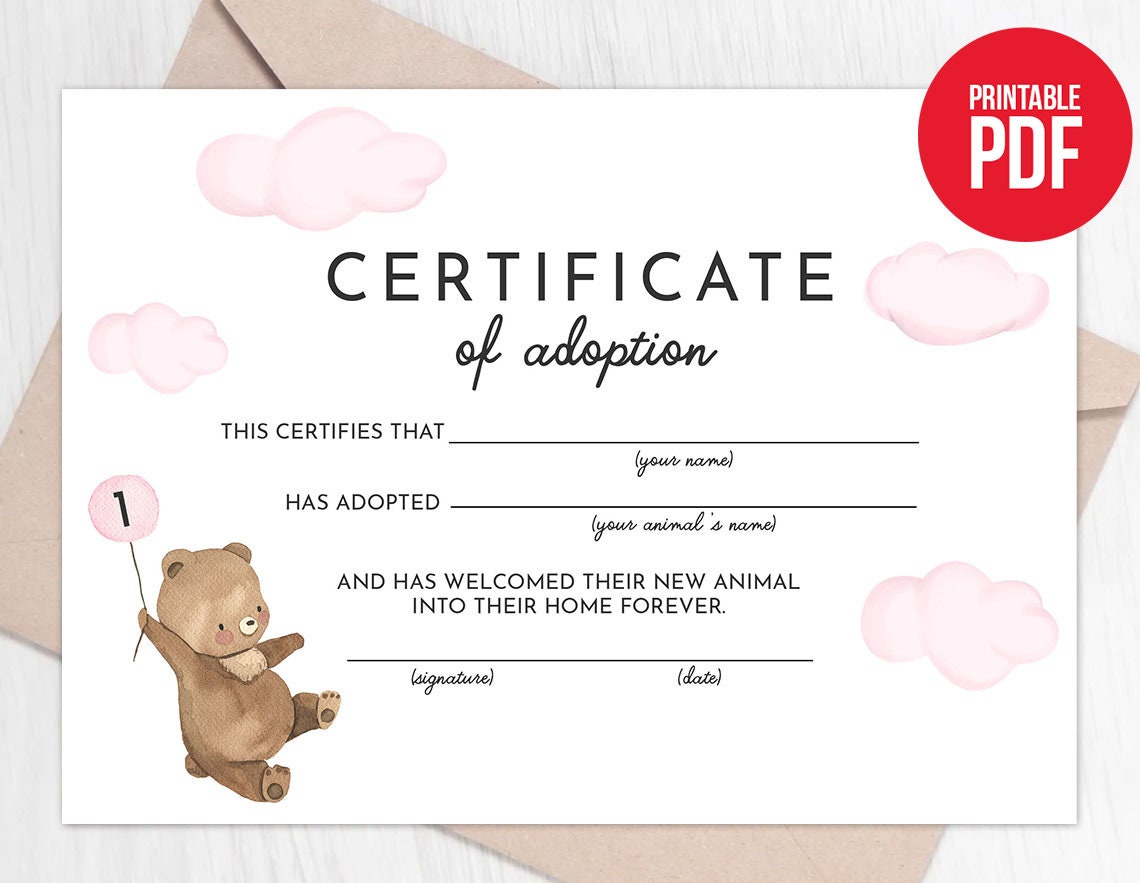 Bear Certificate - Etsy