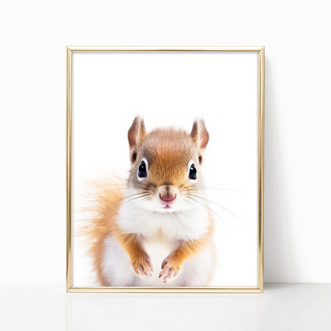 Baby Squirrel Nursery Decor Woodland Nursery Art Framed Print Etsy