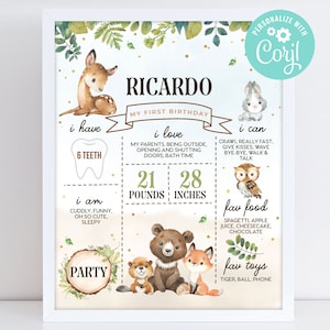 May include: A printable first birthday milestone chart for a boy named Ricardo. The chart features a woodland theme with illustrations of a deer, owl, fox, bear, and bunny. It includes sections for the child's age, weight, height, favourite foods, favourite toys, and things they can do.