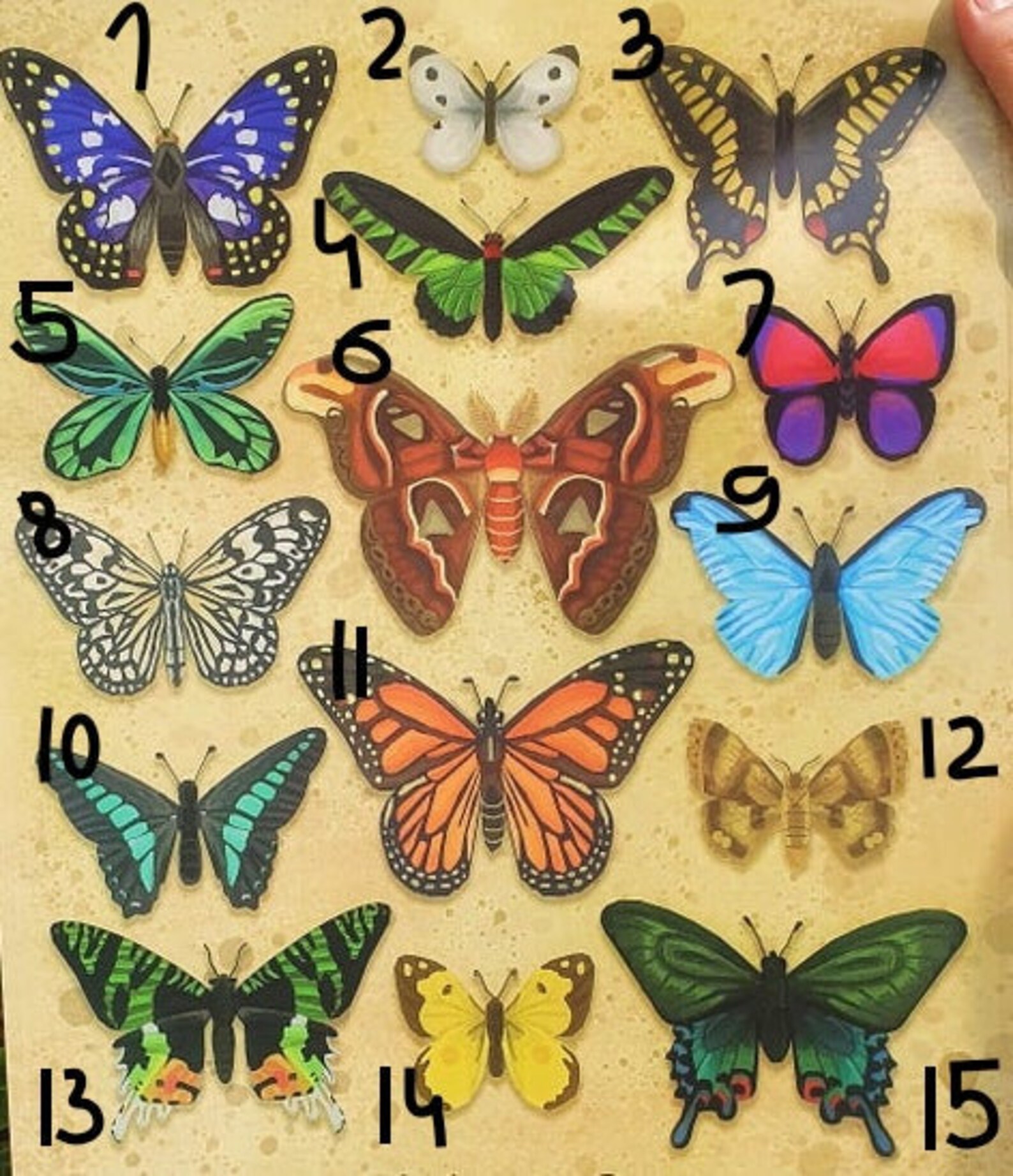 ACNH Animal Crossing New Horizon Custom Butterflies Keychain Etsy