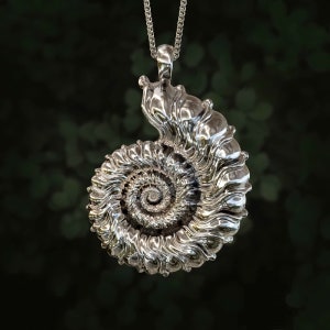Ammonite Pendant for Necklace. Reversible jewelry, Gold Ammonite, Silver Ammonite, Rose Gold Ammonite, Ocean jewelry, Ammonite jewelry