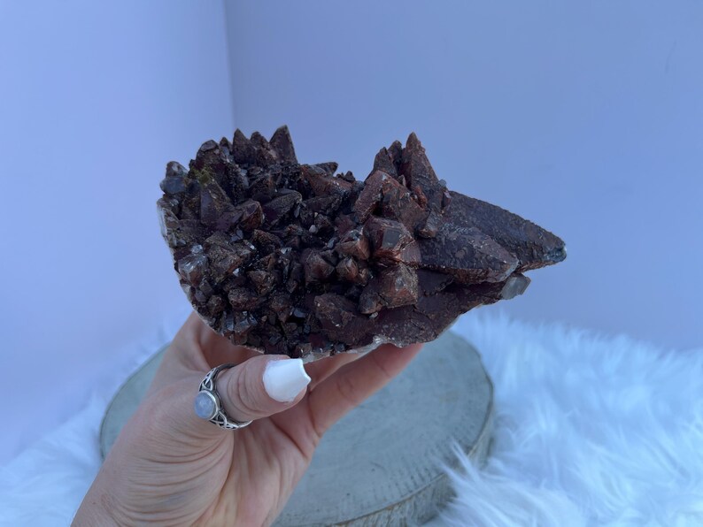 May include: A cluster of dark reddish-brown crystals, possibly a mineral specimen, held in a hand. The crystals have a rough, textured surface and are clustered together. The background is a light blue wall and a white fluffy surface.