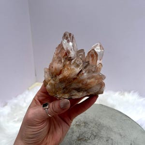 May include: A cluster of clear and orange crystals. The crystals are held in a hand, showcasing their natural formation and varying sizes. The crystals have a rough, textured base and are set against a soft, white background.