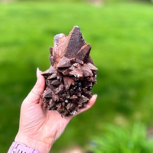 May include: A cluster of dark brown crystals with sharp, pointed formations. The mineral specimen has a rough, textured surface and is held against a blurred green background. The crystals are a deep reddish-brown color.