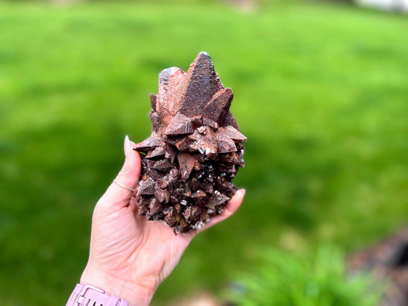 May include: A cluster of dark brown crystals with sharp, pointed formations. The mineral specimen has a rough, textured surface and is held against a blurred green background. The crystals are a deep reddish-brown color.