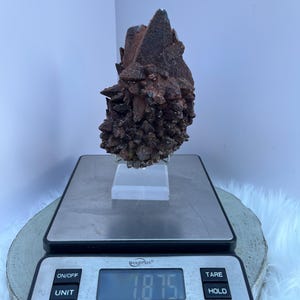 May include: A dark brown mineral specimen with a crystalline structure, displayed on a clear stand. The mineral is on a digital scale, which reads 1.875 pounds. The scale has buttons for on/off, unit, tare, and hold.