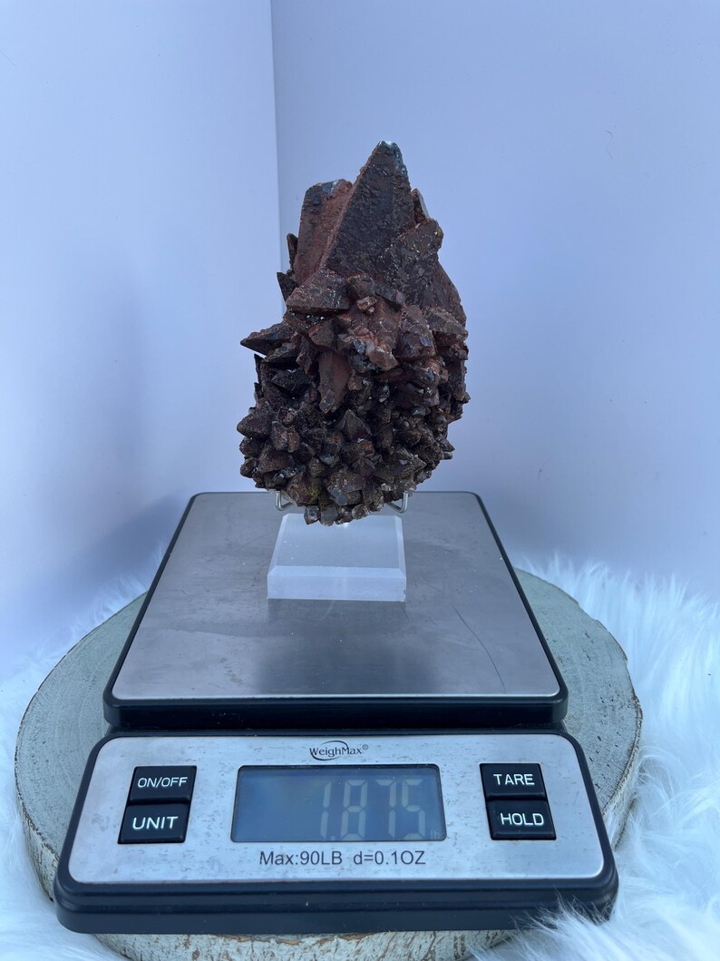 May include: A dark brown mineral specimen with a crystalline structure, displayed on a clear stand. The mineral is on a digital scale, which reads 1.875 pounds. The scale has buttons for on/off, unit, tare, and hold.