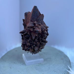 May include: A dark brown mineral specimen with a crystalline structure. The mineral is mounted on a clear acrylic stand, set against a light blue background. The specimen has a rough, textured surface and a cluster of pointed crystals.
