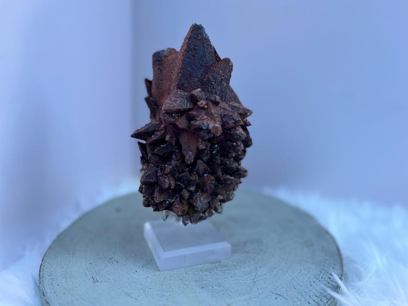 May include: A dark brown mineral specimen with a crystalline structure. The mineral is mounted on a clear acrylic stand, set against a light blue background. The specimen has a rough, textured surface and a cluster of pointed crystals.