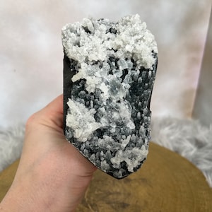 Beautiful, Black and White Chalcedony Coral Geode, Mixed Mineral Specimen, Ethically Sourced, High Quality Crystals