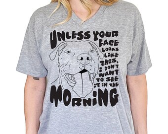 Unless Your Face Looks Like This I Don't Want to See it in the Morning Unisex V-Neck T-Shirt // Graphic Tee, Not a Morning Person Tee Shirt