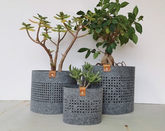 Interior decorations