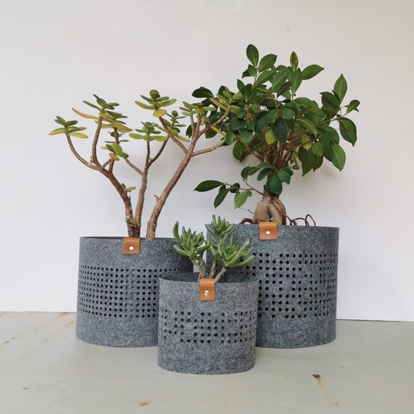 Modern felt plant pot cover, stylish and minimalist décor, accessory for cozy home, perfect for houseplants