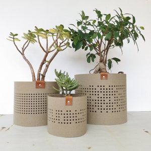 Felt Plants Pot Cover for Modern Home, Flower Pot, Pot covers for indoor plants, Scandinavian home design, Decorative pot covers image 4
