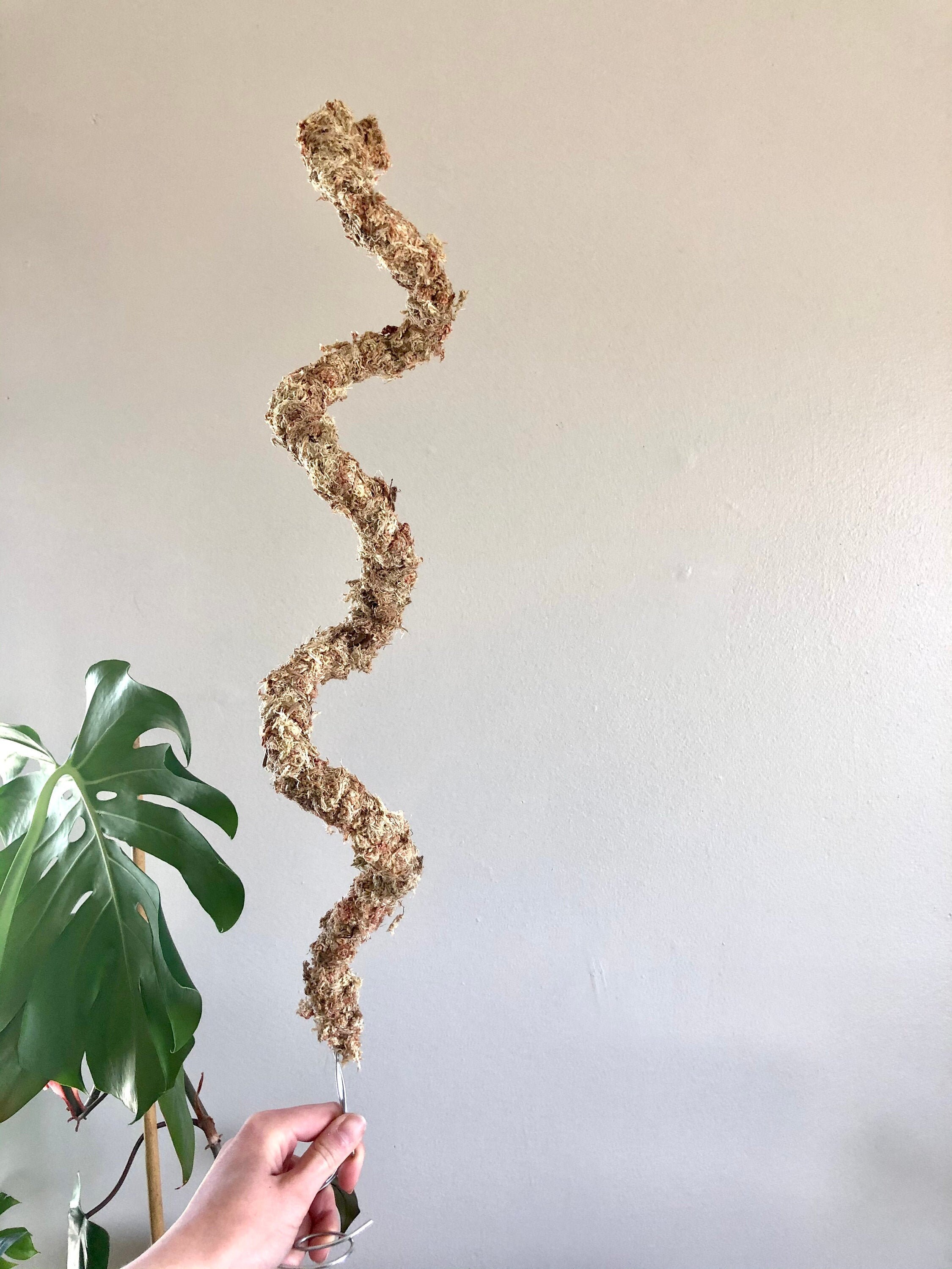 Bendable Moss Poles Etsy