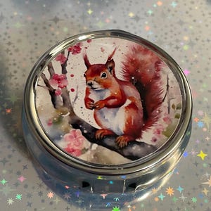 handcrafted squirrel  on a three compartment compact travel size pill box