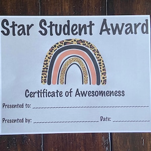 Star Student Award Handouts (10 sheets)
