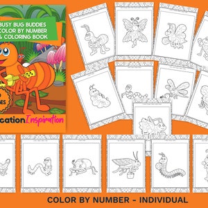 Insect Color By Number Bug Coloring By Number Insect | Etsy
