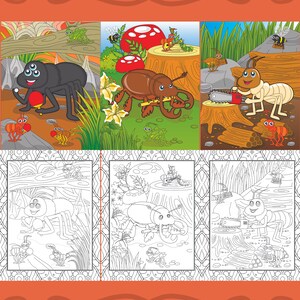 Kids Color By Number Kids Coloring Bug Color By Number Bug | Etsy