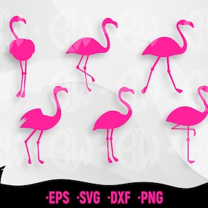 6 Flamingo Birds SVG, Flamingo SVG, Flamingo Cut File, Bird Cut, Bird Clipart, Flamingo SVG Bundle, Flamingo Clipart, Flamingo Silhouette