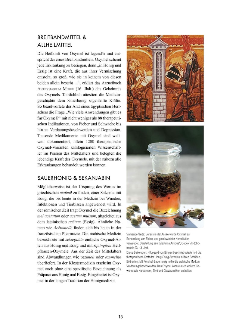The big book of OXYMEL, medicine from honey and vinegar image 4