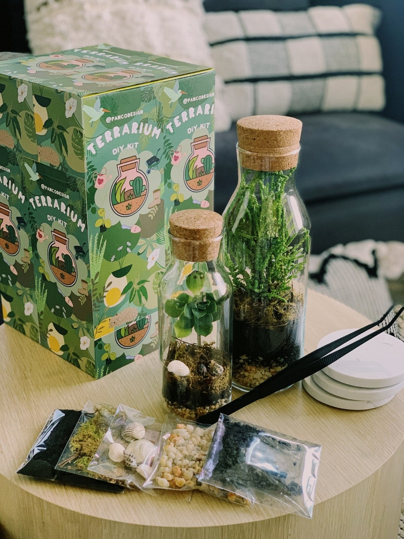 DIY Glass Rainforest Terrarium Kit indoor Foliage Forest Easy Etsy