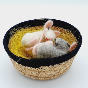 Sleepy Little Mouse Pair – Tiny Felt Mice Magic and Hypoallergenic Wool Art for Animal Lovers