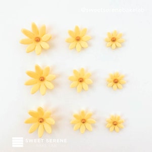 Edible Sugar Fondant Yellow Daisy Decoration for Birthday Cake/ Cupcakes Topper Graduation - Set of 12