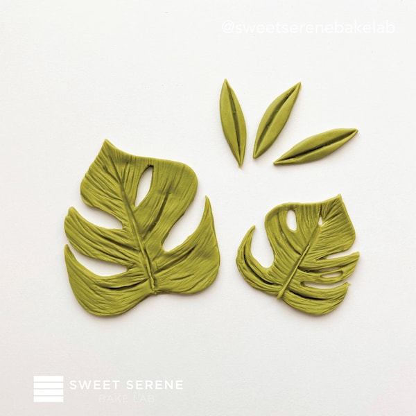Fondant Jungle Etsy