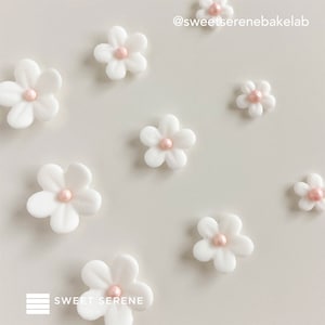 Edible Fondant Cherry Blossom/ Sakura Flower White with Pink Pearl Decoration for Birthday Cake/ Cupcakes Topper Christmas, Xmas- Set of 12